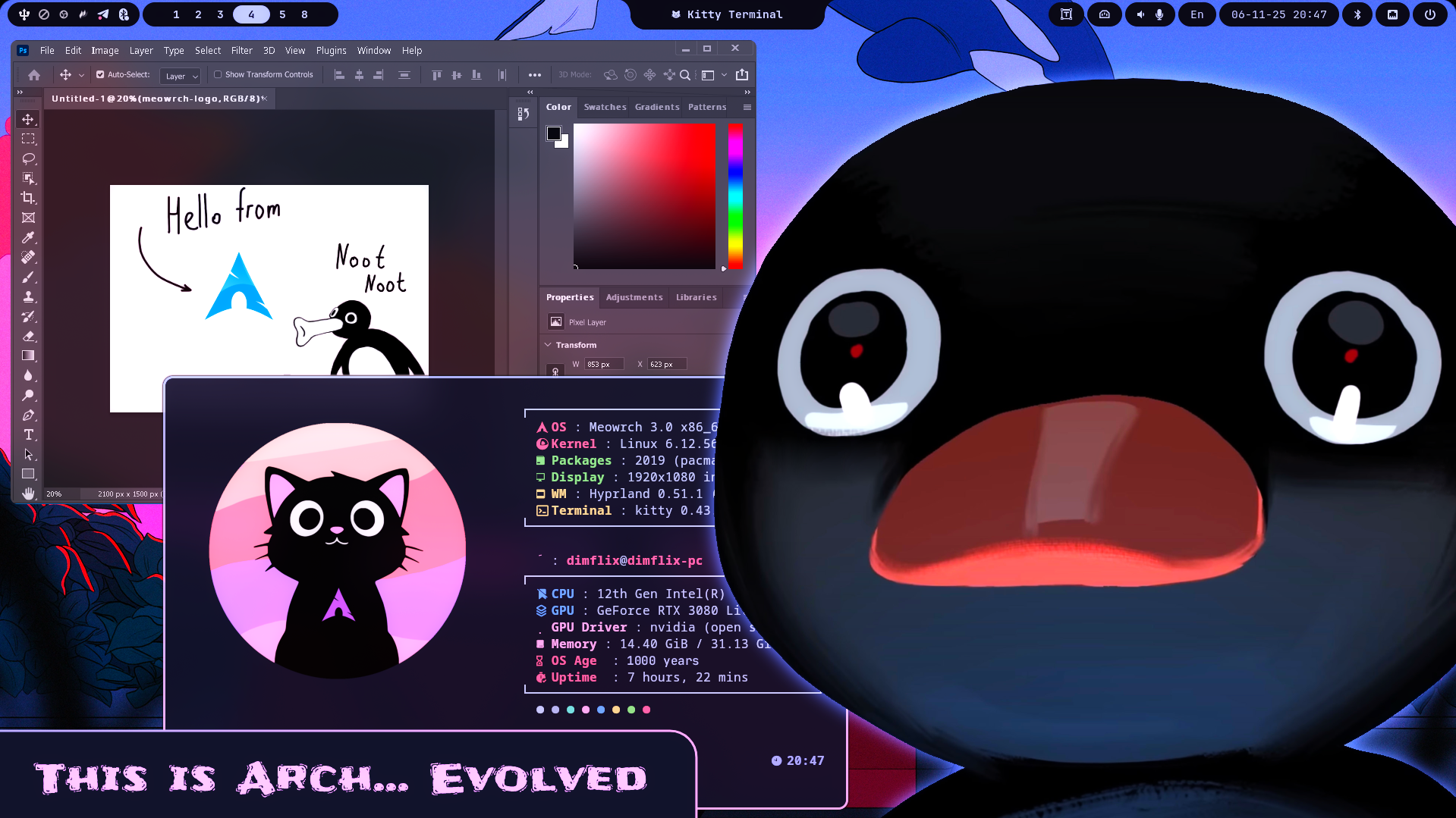 Meowrch Video Preview